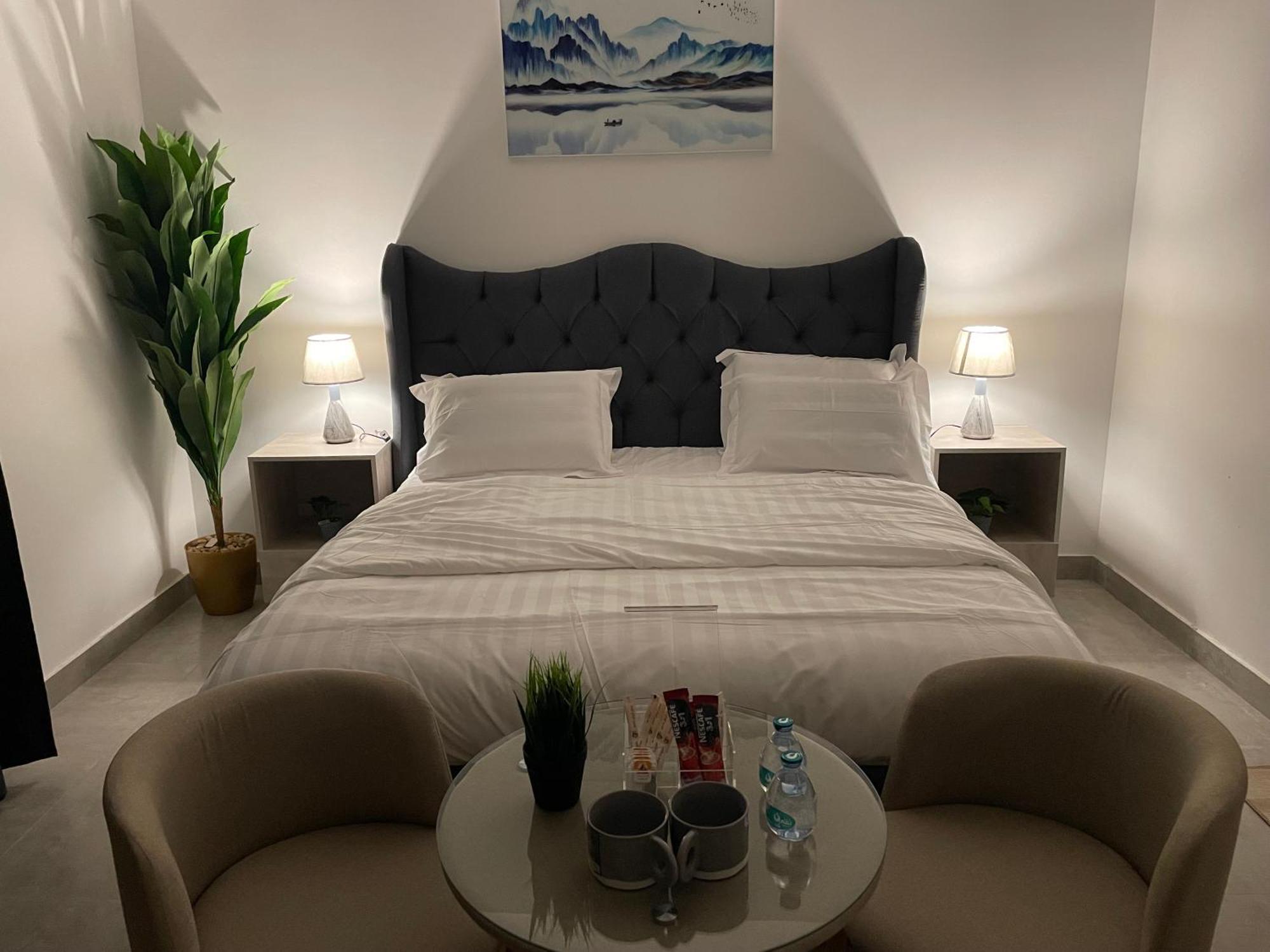 فاخرة بغرفة نوم وصالة، ودخول ذاتي Apartment *